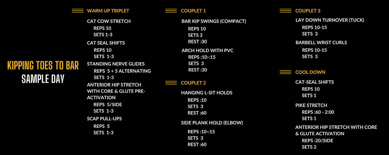 Sample programming of the Kipping Toes to bar program in the Power Monkey Training app.