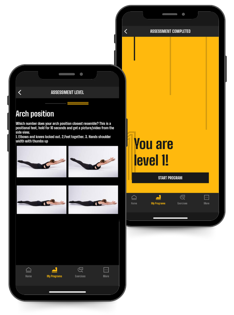 Phone images of the assessments for the Bar Muscle-Up Chicken Wing Cure in the Power Monkey Training App.