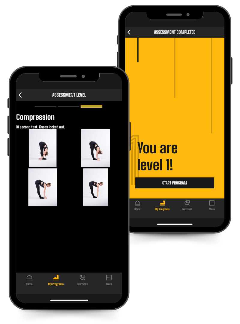 Phone image of the assessment plan for the Strict Toes to Bar program in the Power Monkey Training app. 