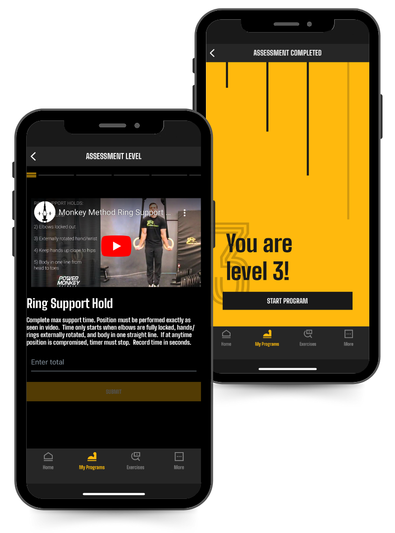 Phone image of the Ring Thing Iron Cross Program in the Power Monkey Training App.