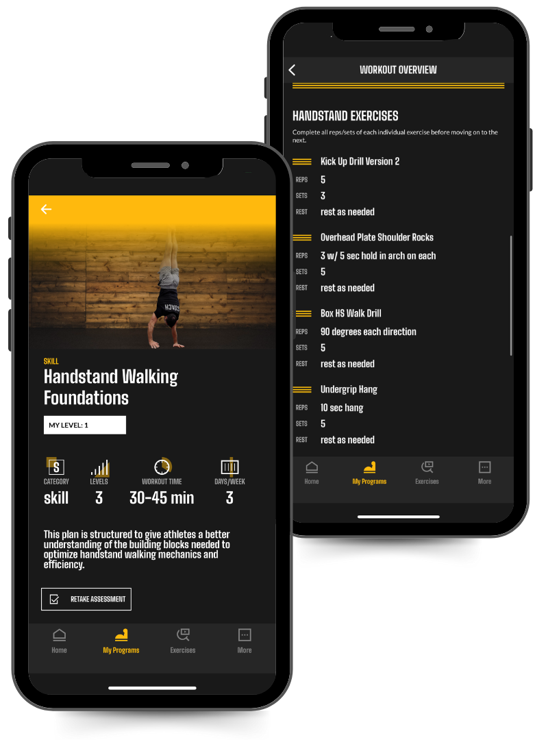 Phone image of the Handstand Walking Foundations program in the Power Monkey Training App.