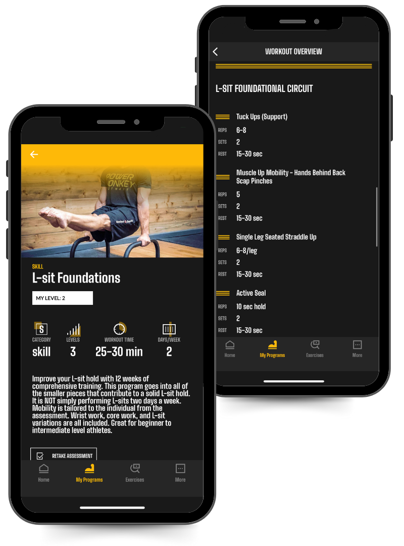Phone image of the L-Sit Foundations program in the Power Monkey Training App.