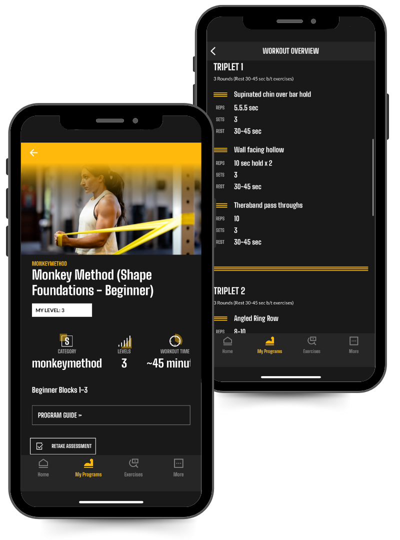 phone screen images of the Monkey Method Shape Foundations program with a sample workout