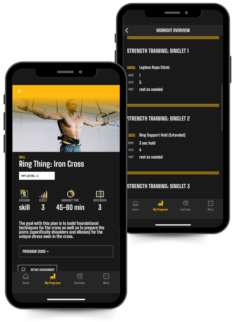 Phone image of the Power Monkey Training Ring Thing Iron Cross Program and an example of a workout.