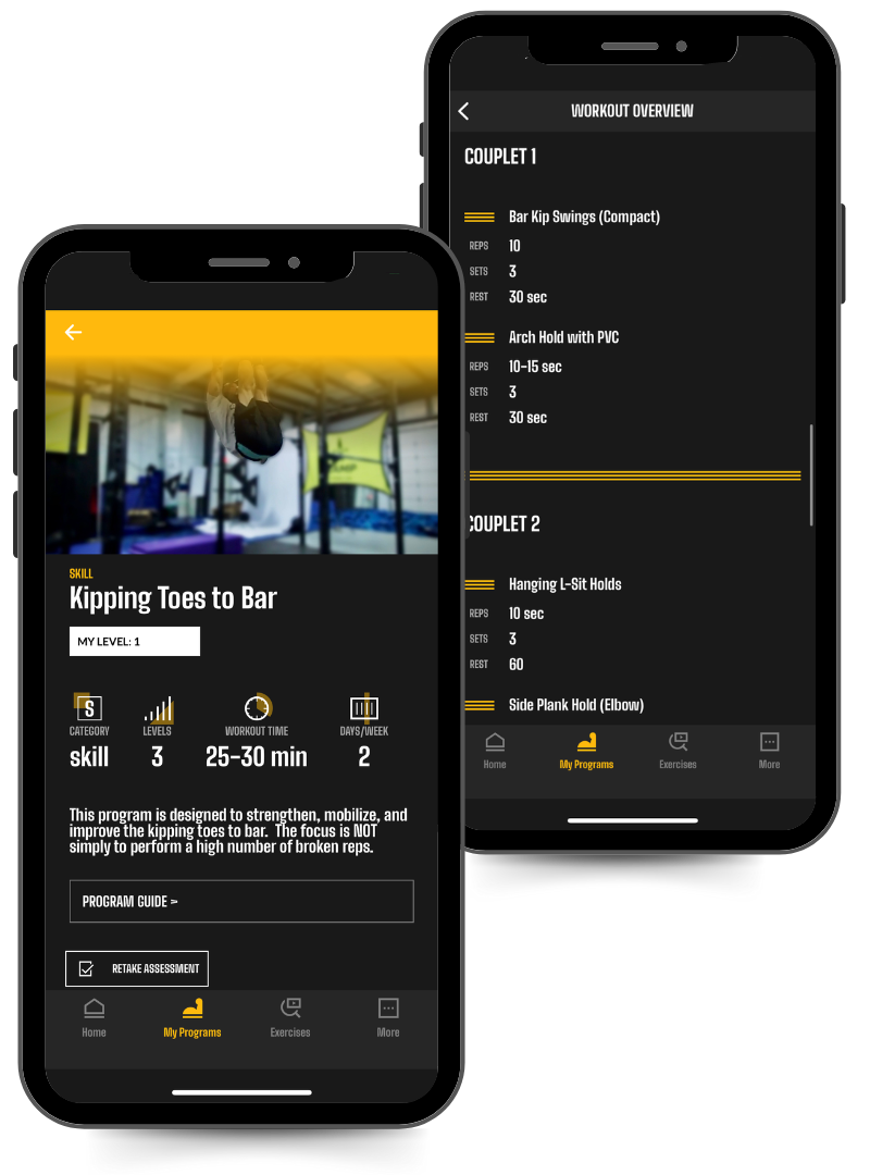 Phone Image of the Kipping Toes to Bar program in the Power Monkey Training App.