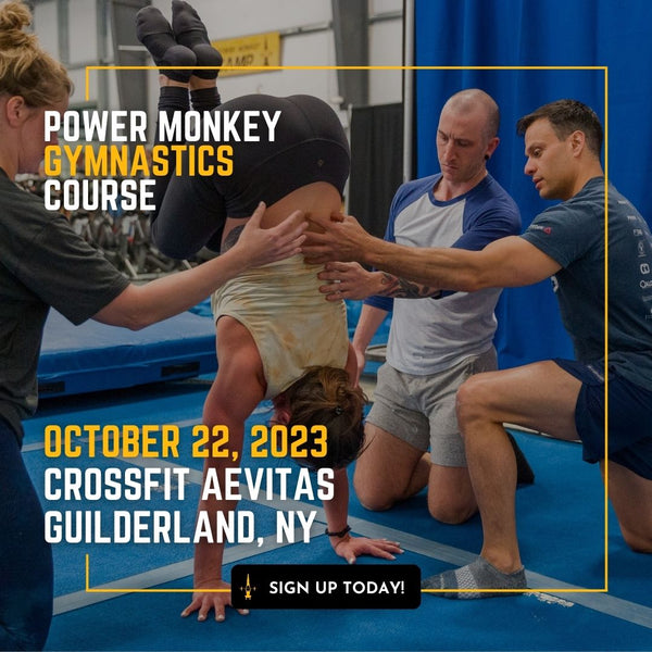 POWER MONKEY GYMNASTICS COURSE | Aevitas Fitness (Guilderland, NY)