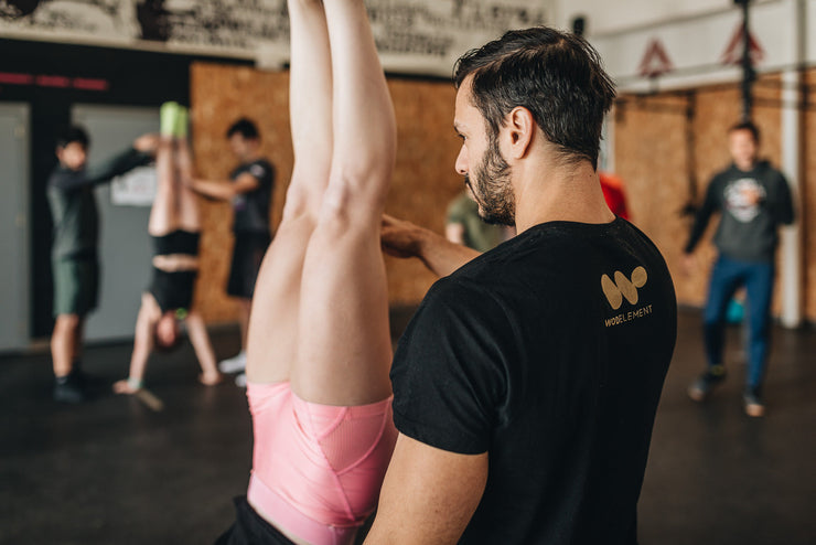 POWER MONKEY GYMNASTICS & WEIGHTLIFTING COURSE | AAYMCA CrossFit (Anderson, South Carolina)