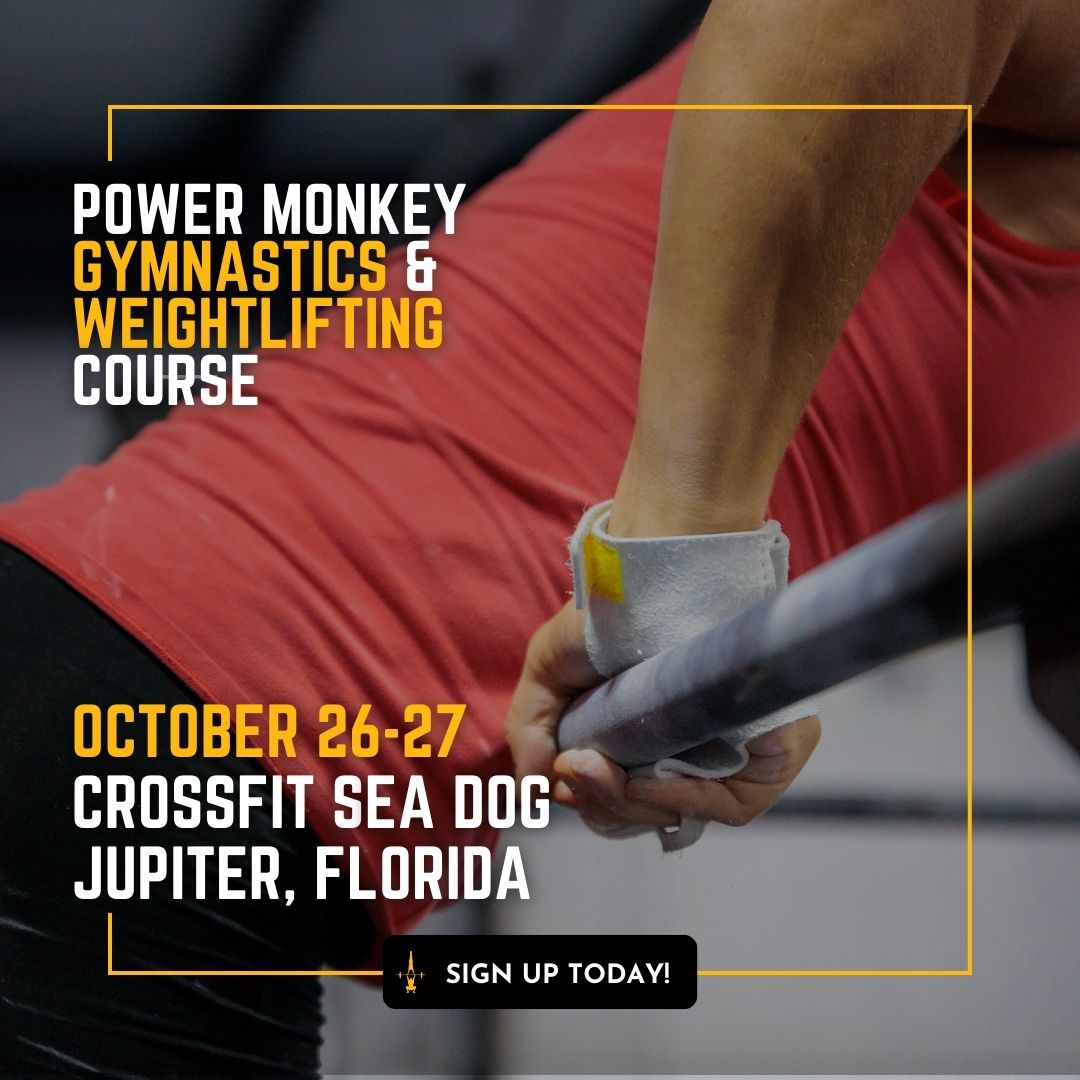 POWER MONKEY GYMNASTICS & WEIGHTLIFTING COMBO COURSE | CrossFit Sea Dog (Florida)