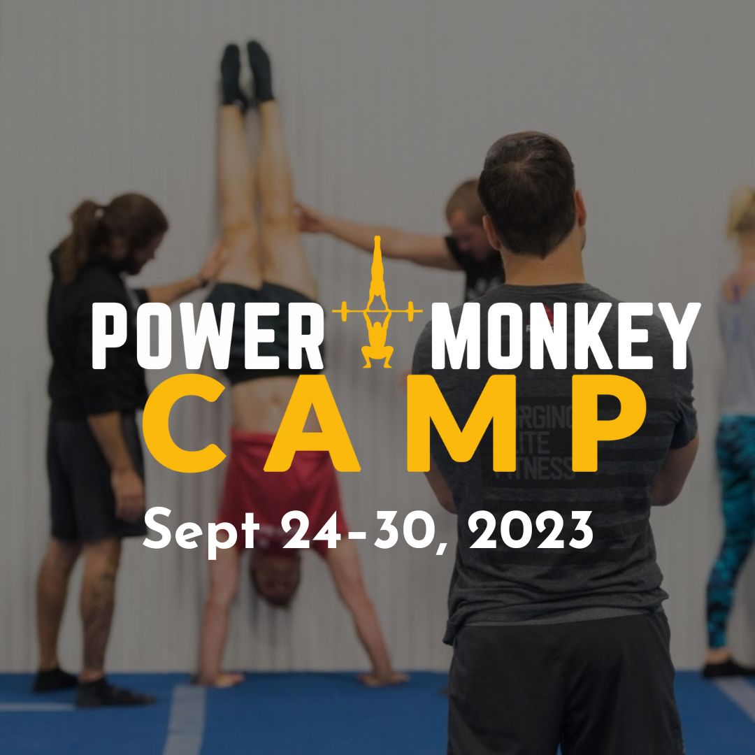 powermonkey2