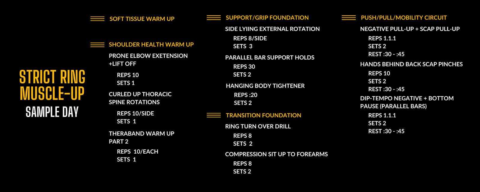 Sample Day program of the Strict Ring Muscle Up plan in the Power Monkey Training app. 