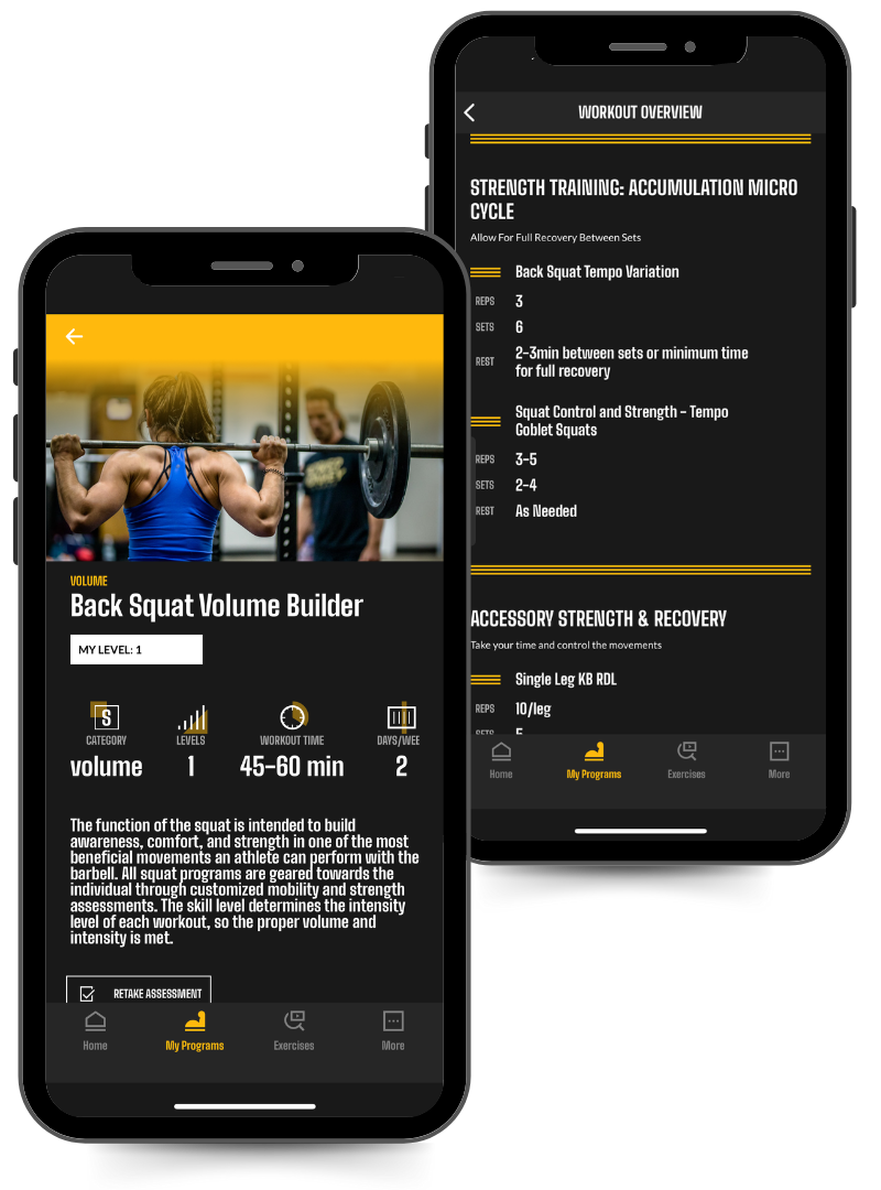 Phone screen image of the Power Monkey Training Back Squat Volume program in the app. 
