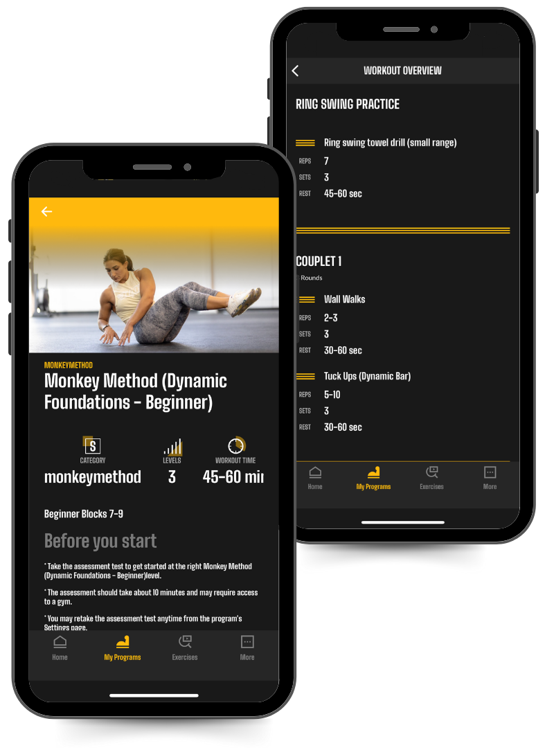 Phone Screenshot of the Power Monkey Training Dynamic Foundations program and a sample workout